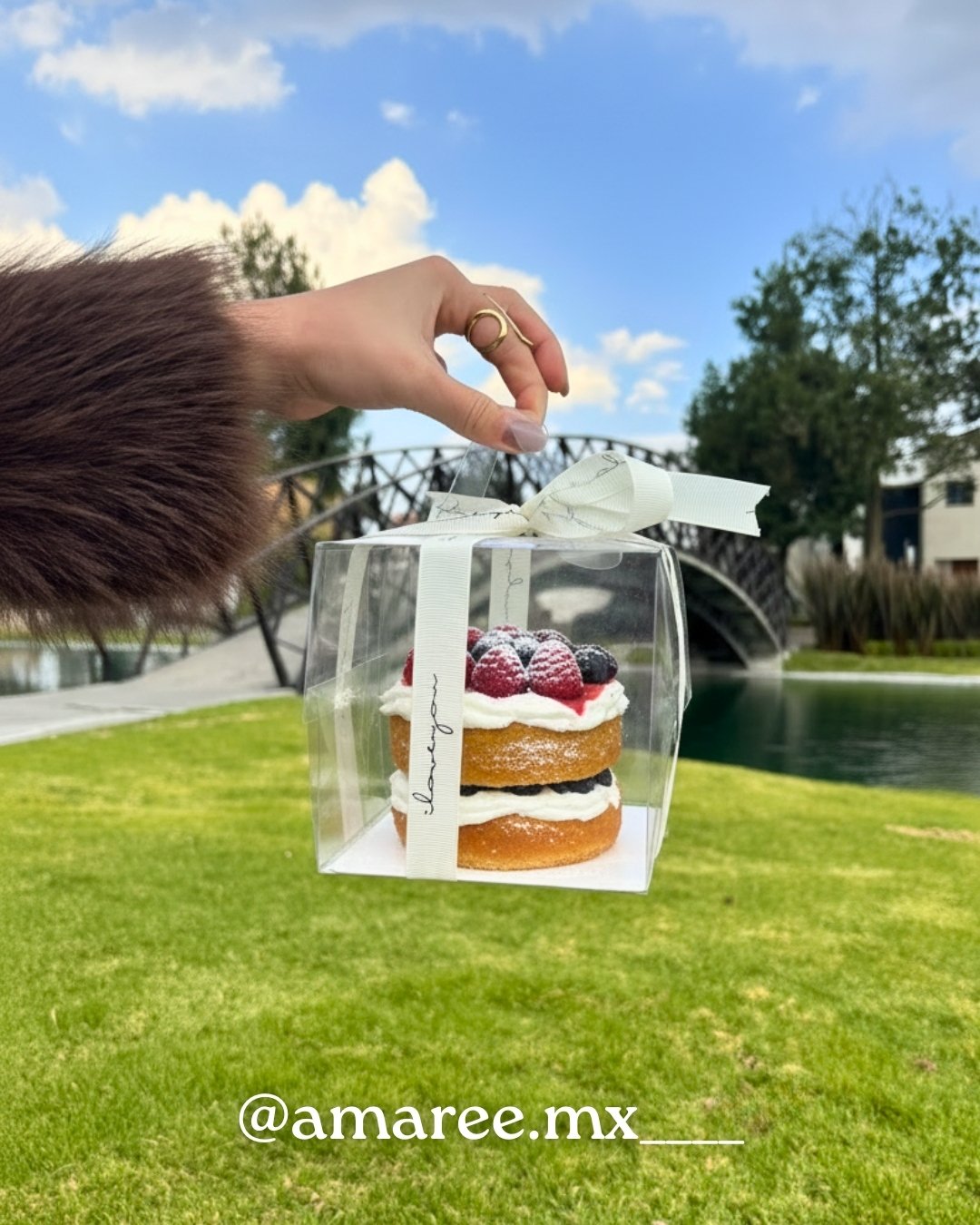 Pastel Amaré Amaré